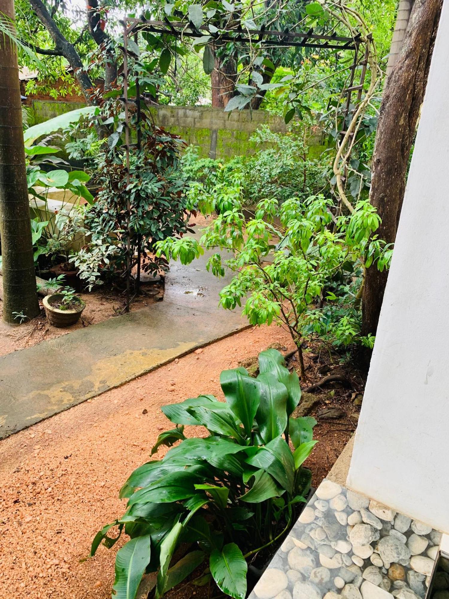 Dambulla Shan Inn Exterior foto